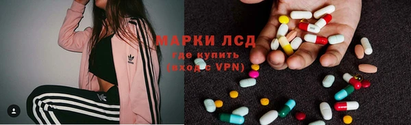 дмт Нея