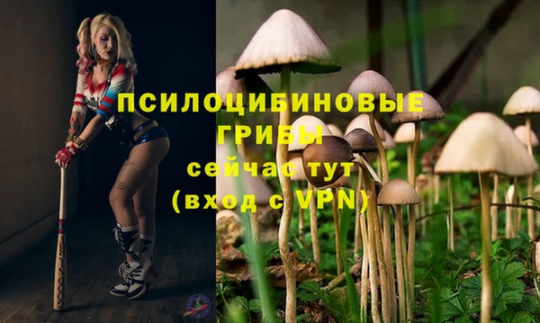 a pvp Верхний Тагил