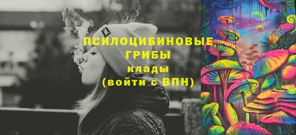 мдпв Богородск