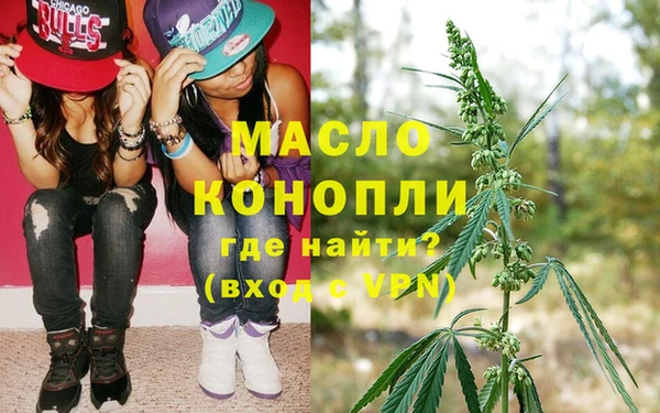 мдпв Богородск
