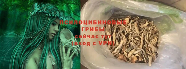 СК Богородицк